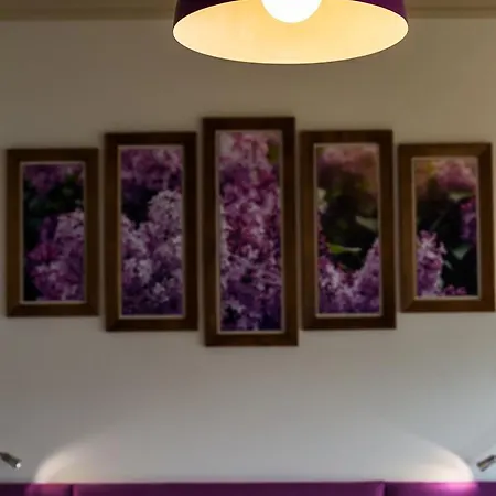 Family Sunrise Hotel